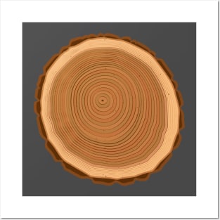 Tree Rings Nature Posters and Art